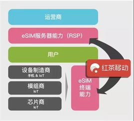 eSIM技術(shù) 驅(qū)動(dòng)物聯(lián)網(wǎng)大規(guī)模應(yīng)用的核心連接引擎